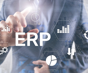 Enterprise Resource Planning (ERP) Services